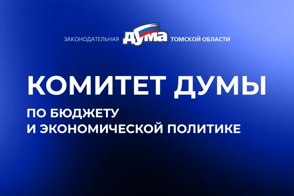 Изображение к материалу: 12 депутатов будут работать в бюджетном комитете думы