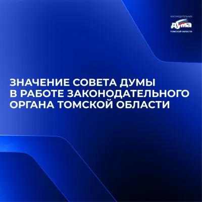 Изображение к материалу: О Совете Думы