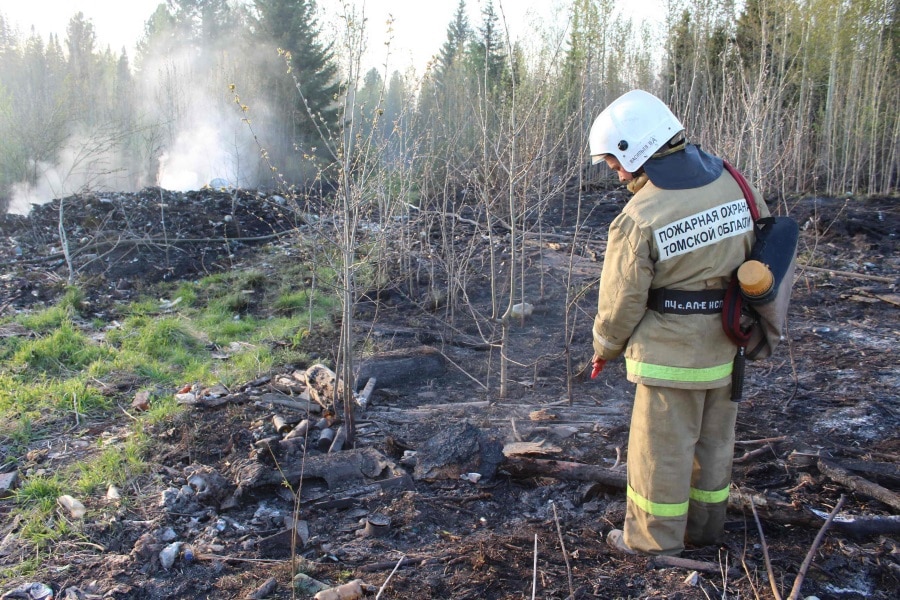 В Томской области нет действующих лесных пожаров