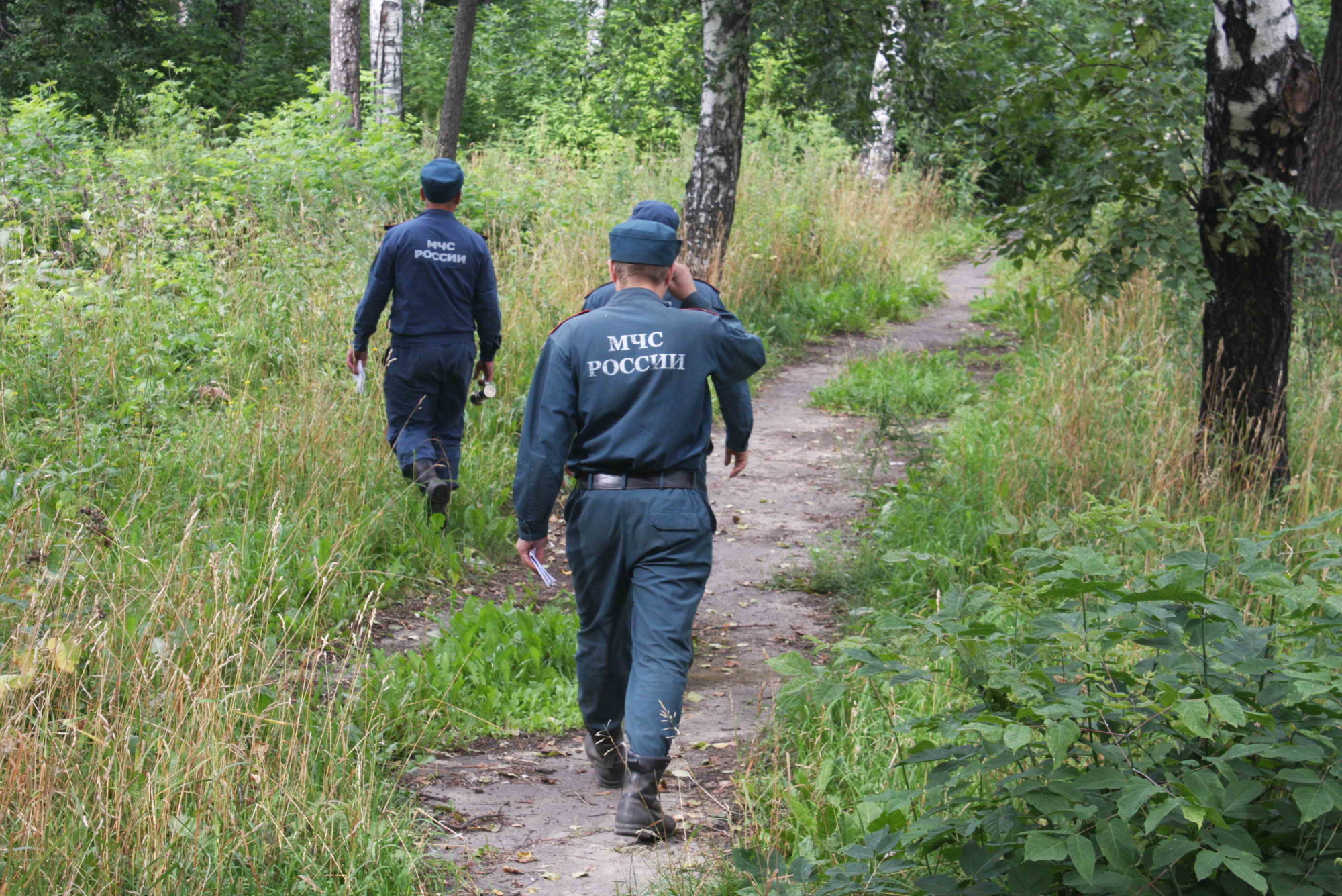 В Томском районе нашли двух заблудившихся подростков