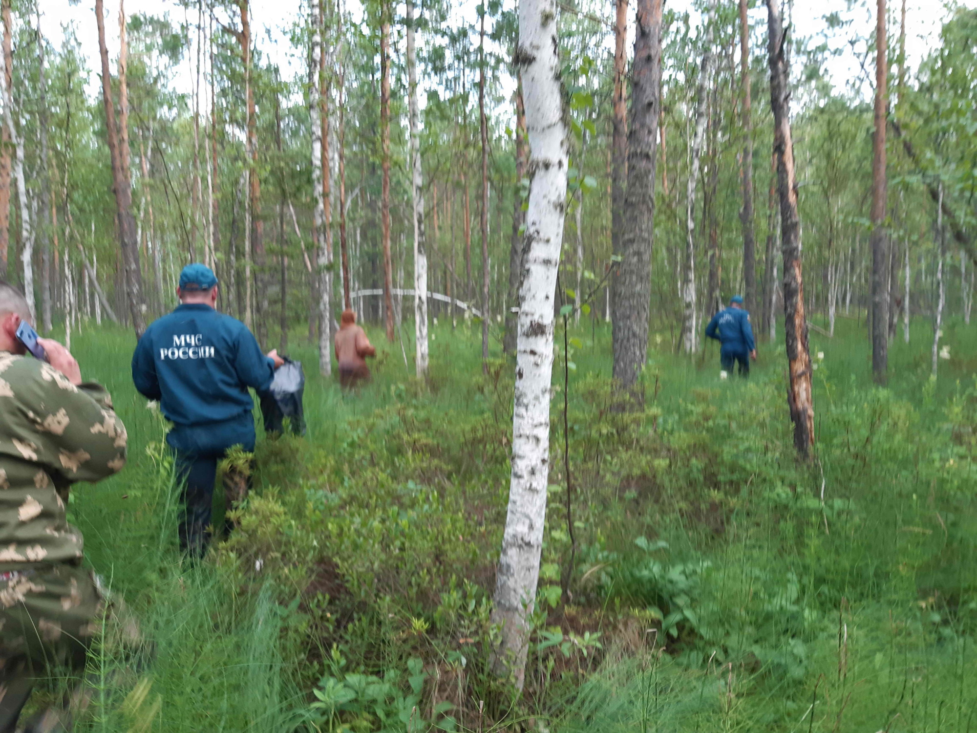 За минувшие сутки в лесах Томской области были организованы поиски трех человек