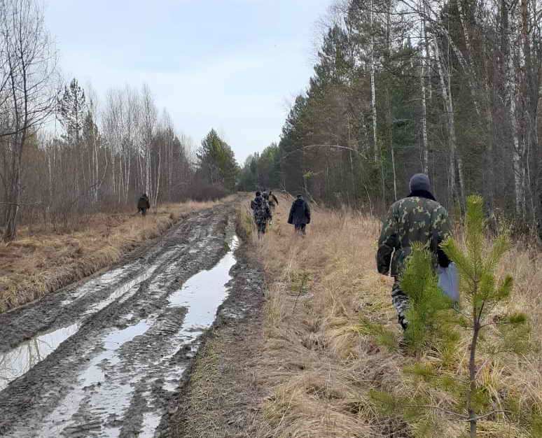 Житель Томской области заблудился и неделю жил в лесу, питаясь собранной на болоте клюквой