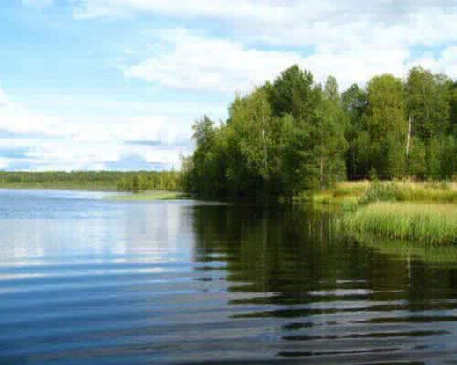 В Томской области усилят патрулирование водоемов