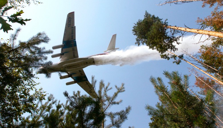 Авиапожарные локализовали крупный лесной пожар на севере Томской области
