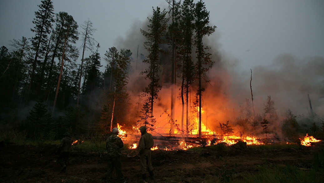 Сухие грозы стали причиной новых возгораний лесов в Томской области