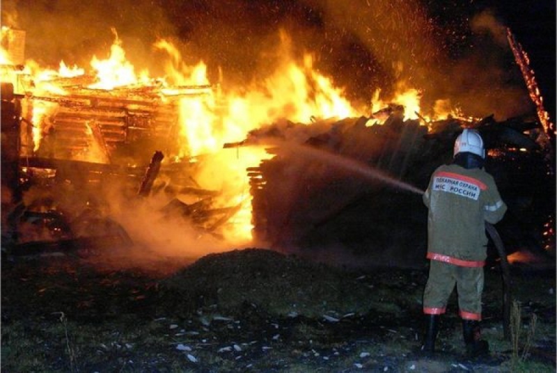 Пожар в томской деревне унес жизни 100 птиц, 30 свиней и 10 кроликов